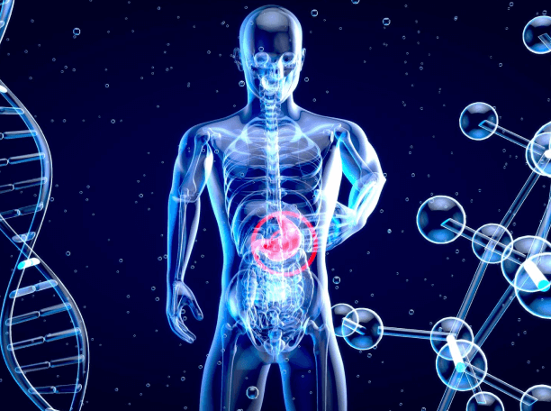 Gastroenterology